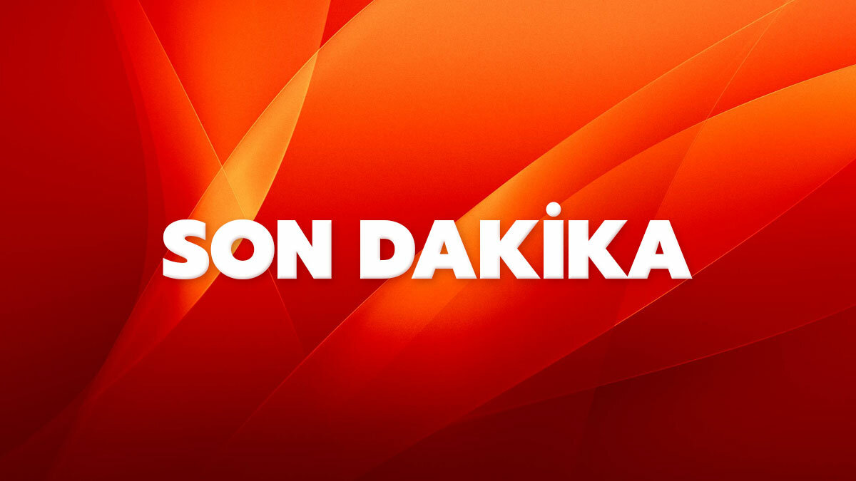 İncir ağacının